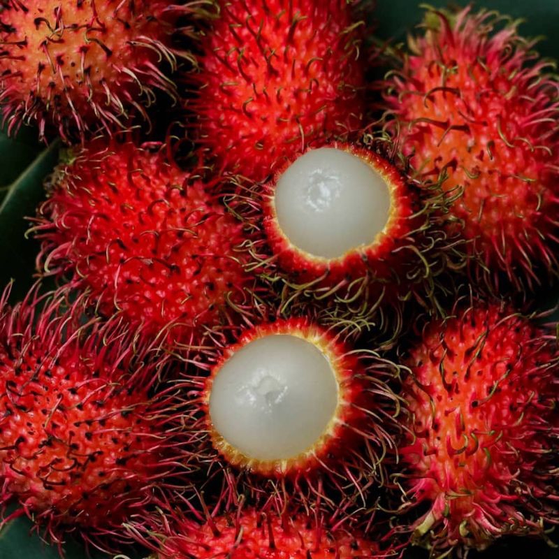 

1KG RAMBUTAN BINJAI ASLI MANIS, JUAL RAMBUTAN BINJAI MALANG MURAH GRATIS ONGKIR BISA COD