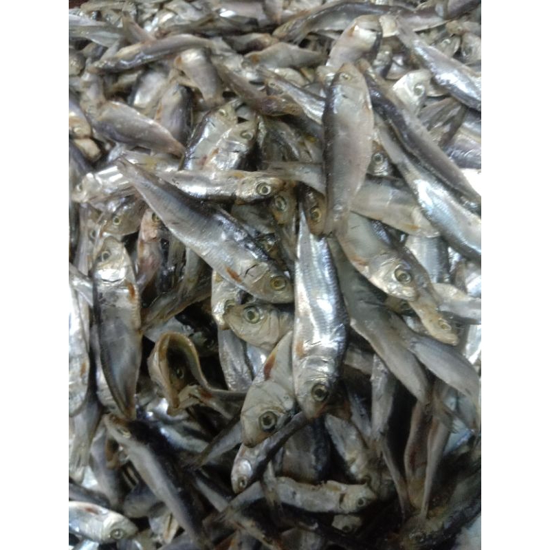

ikan Asin Anak Tembang/Lemet