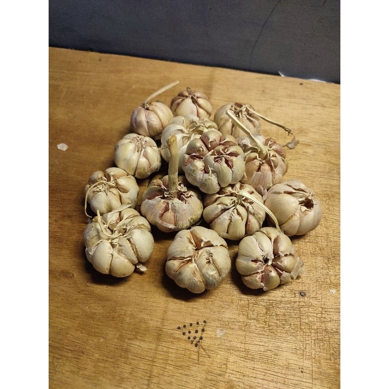 

BAWANG PUTIH SINCO KUALITAS SUPER Kemasan 1000gram