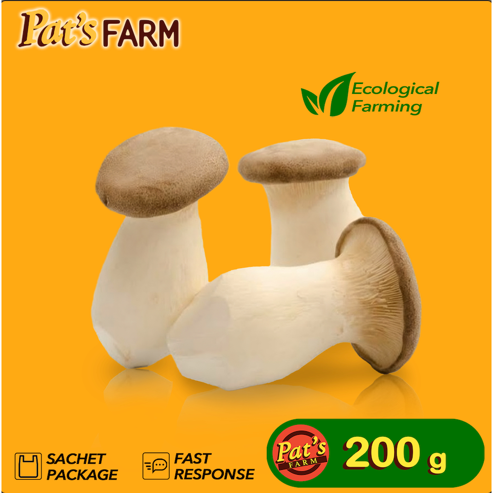 

Jamur King Oyster / King Oyster Mushroom