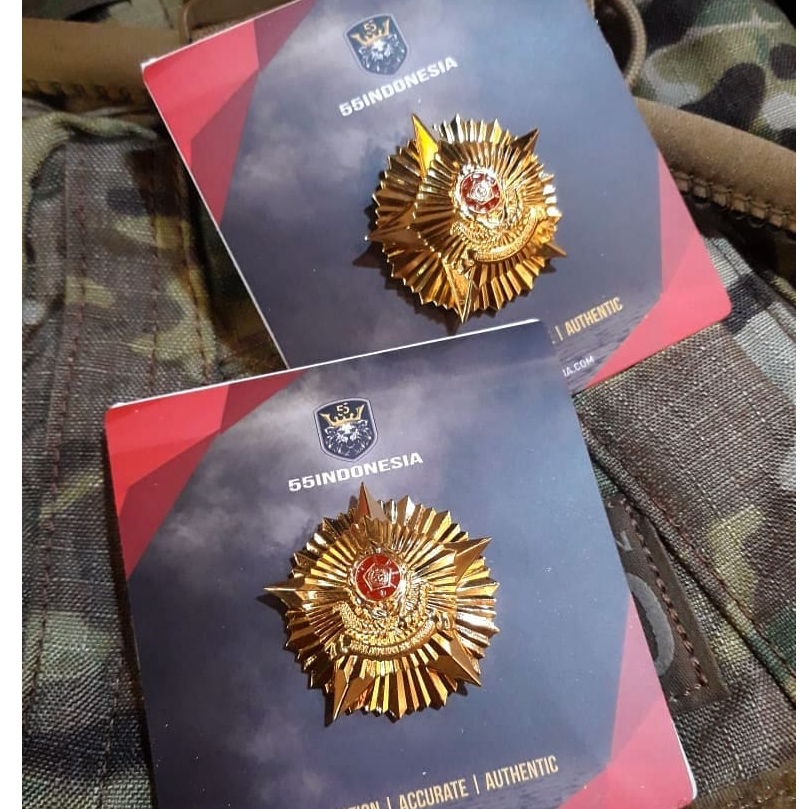 Brevet 55 Indonesia Pin/ Emblem
