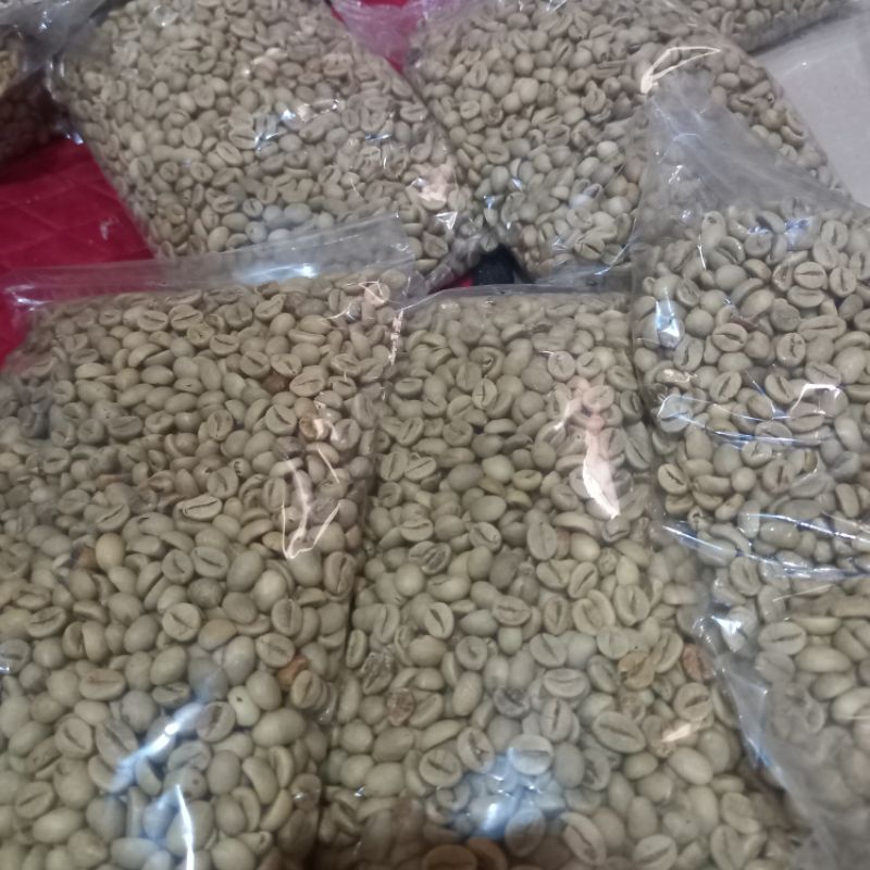 Biji kopi mentah green bean Robusta grade 1 harga per 1 kg dengan PO dulu