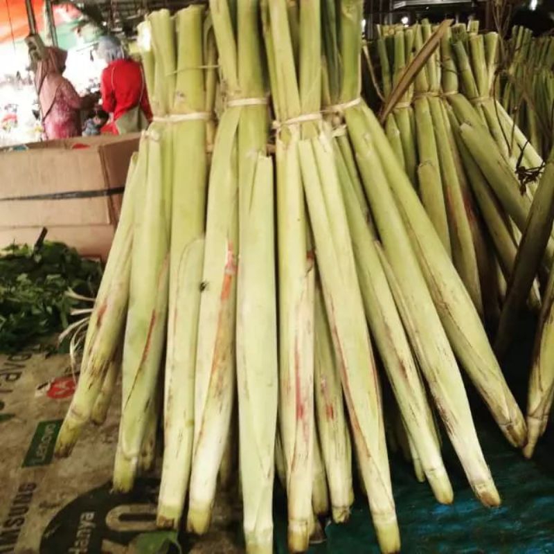 

Telor tebu buat sayur 1ikat isi 4biji