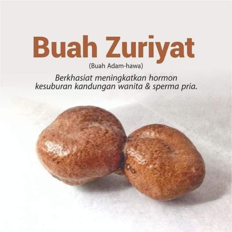 

Buah zuriat mesir bulat