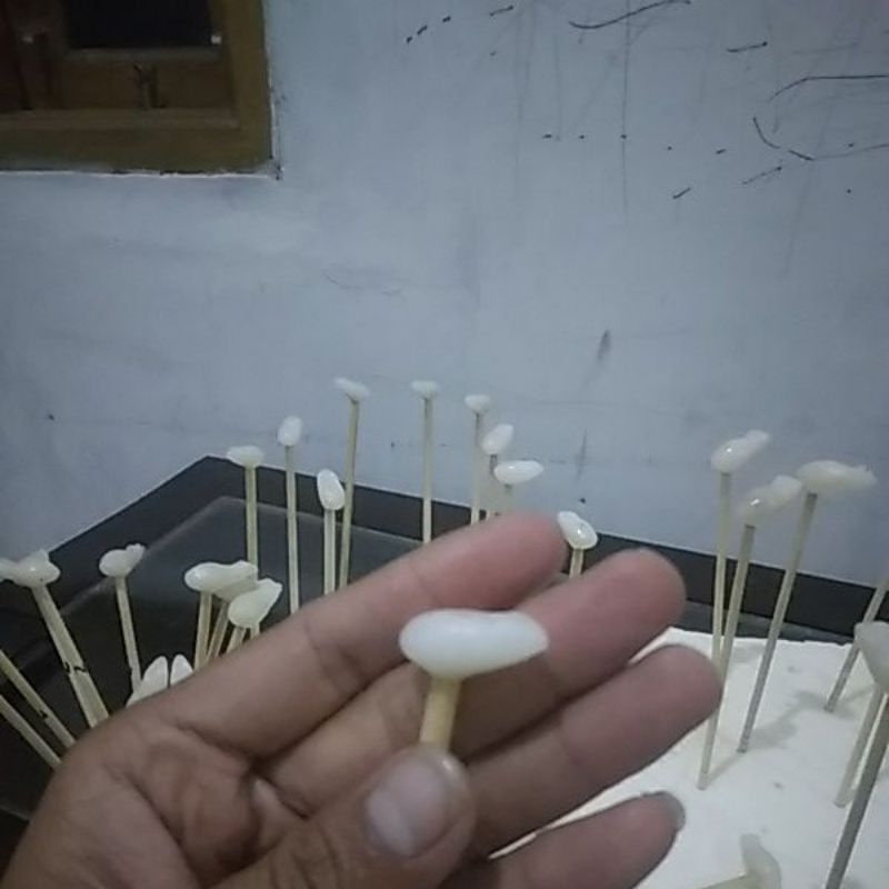 molding soft frog 2,5cm