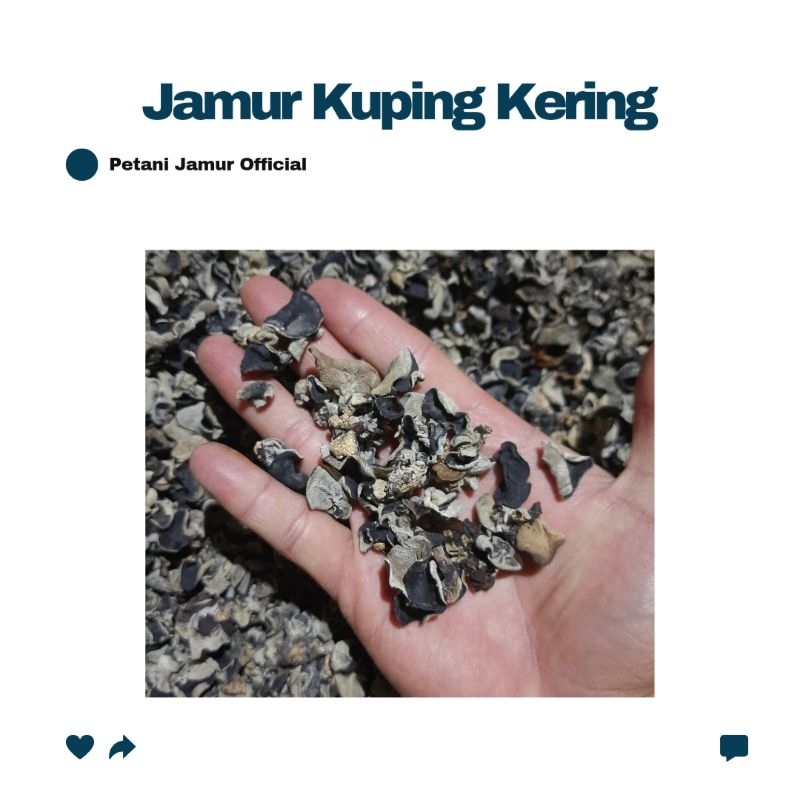

Jamur Kuping 1kg Ekstra Kecil