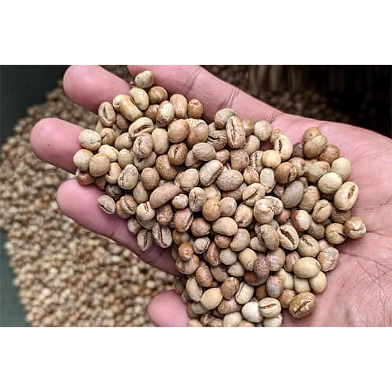 

Peaberry ( Biji Kopi Lanang ) Robusta Temanggung