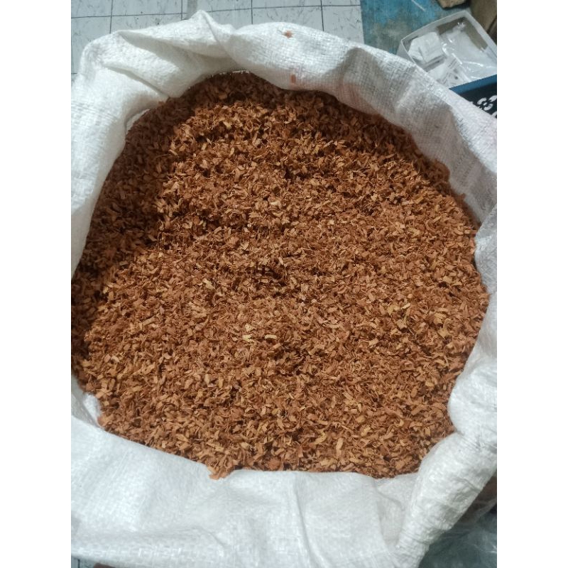 

BUBUK BAJAKAH KALALAWIT MERAH UNTUK BUAT TEH