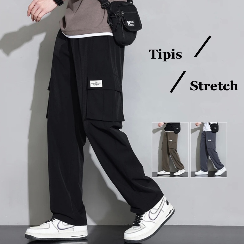 Banyak Dipakai celana cargo panjang pria korean style stretch standar straight tipis celana kulot co