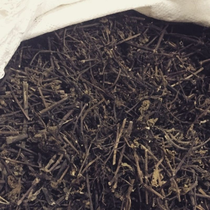 

Xian Ren Cao 仙人草 Cincau Hitam Cyclea Barbata 50 Gr