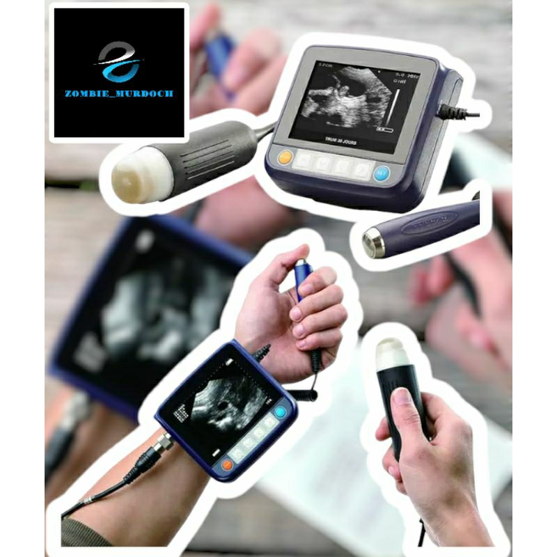 ULTRASOUND Veterinary Portable/ USG VET Portable