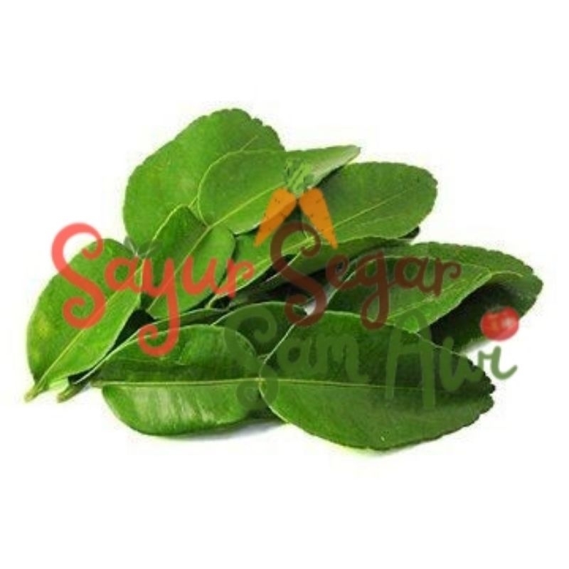 

DAUN JERUK 1 PACK | INSTANT MALANG | SAYUR SEGAR | SAYUR SEGAR SAM AWI