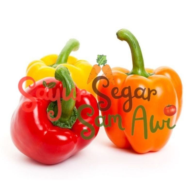

PAPRIKA PER PCS | INSTANT MALANG | SAYUR SEGAR | SAYUR SEGAR SAM AWI