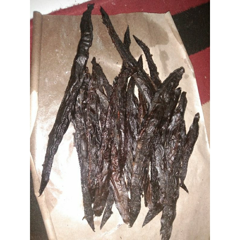 

IKAN SILI/LONJING ASAP