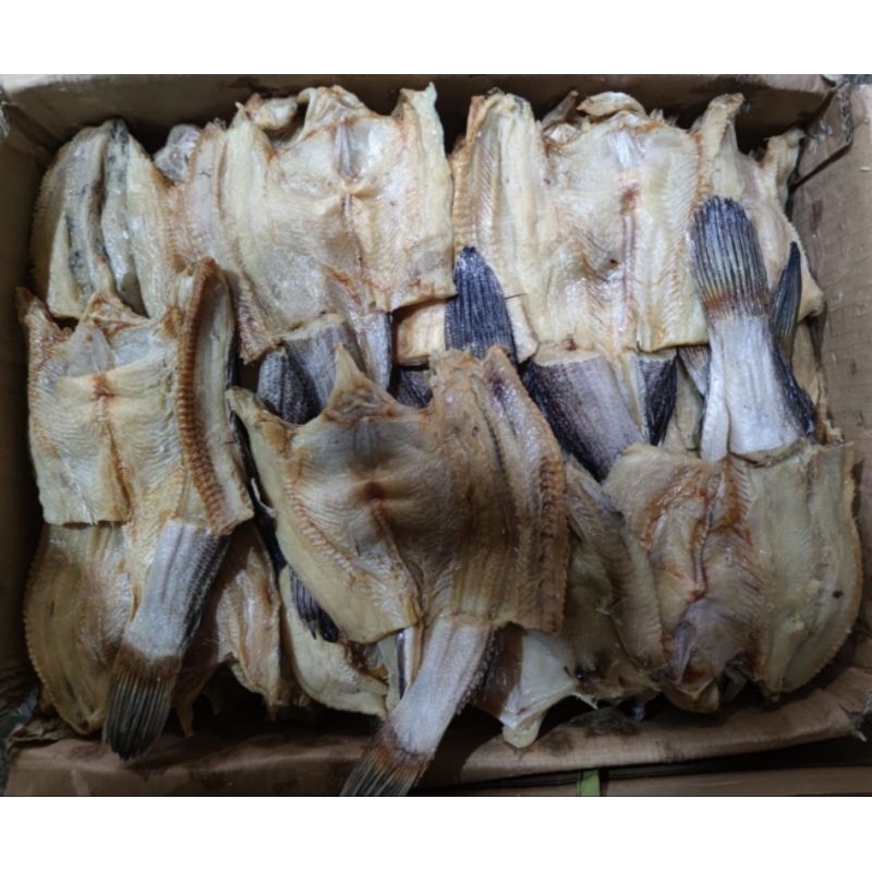 

Ikan Asin Gabus Besar 500Gram