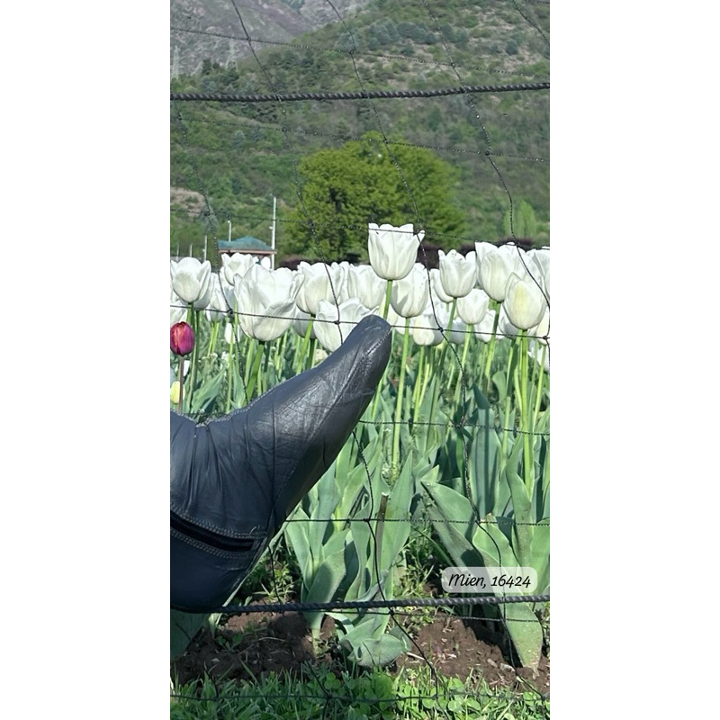 kaos kaki kulit Khuff khuf karet untuk haji umroh JNA khuff