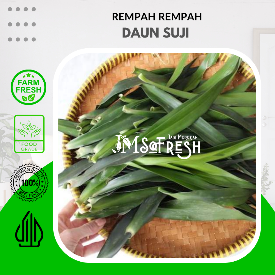 

[JM_SoFresh] Daun Suji Segar dan Fresh Per Ikat 10 Lembar