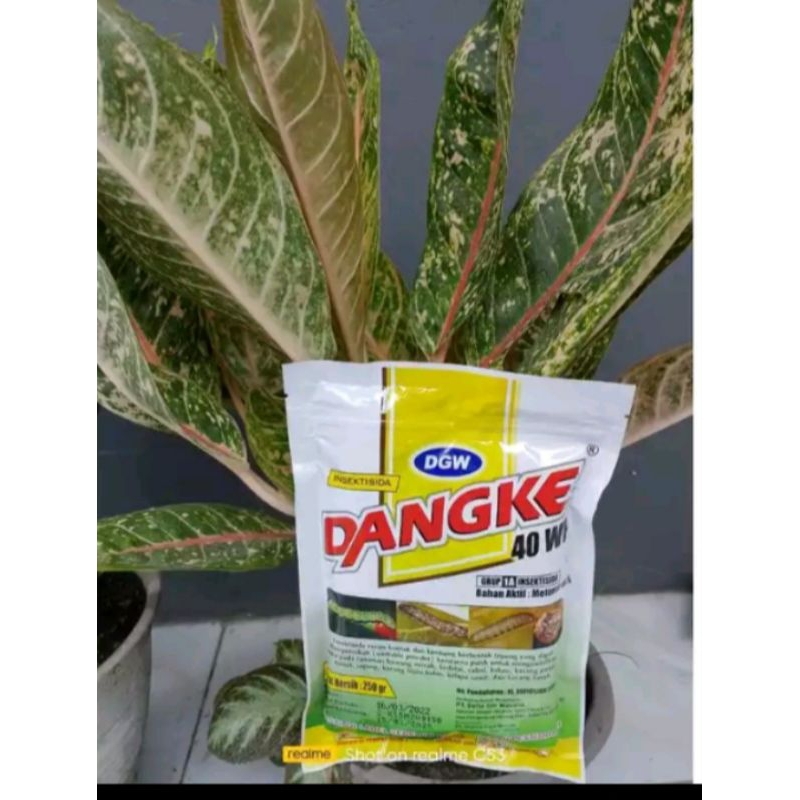Dangke 250gram