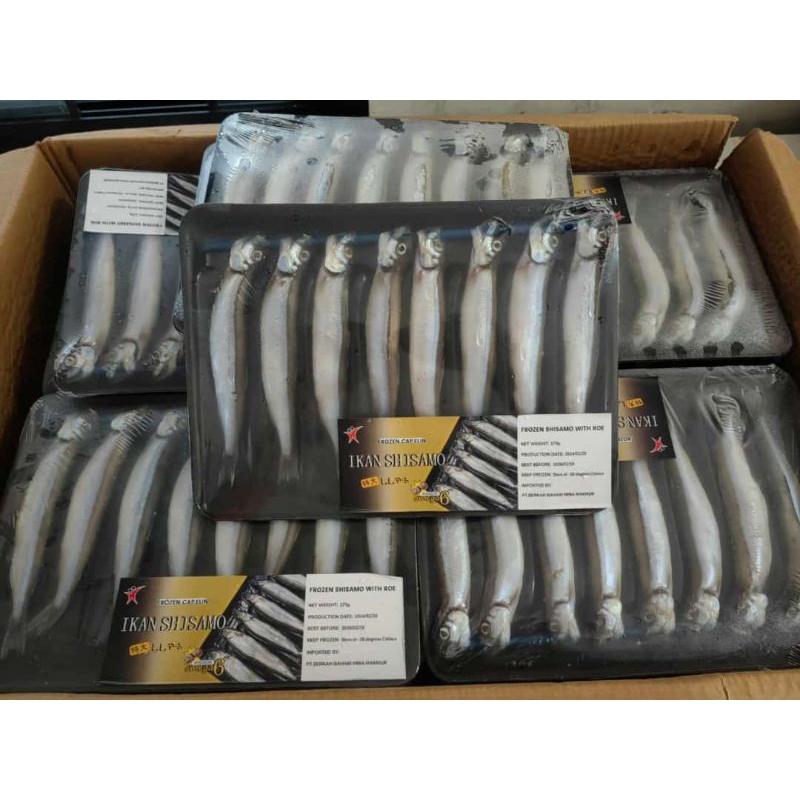 

IKAN SHISAMO