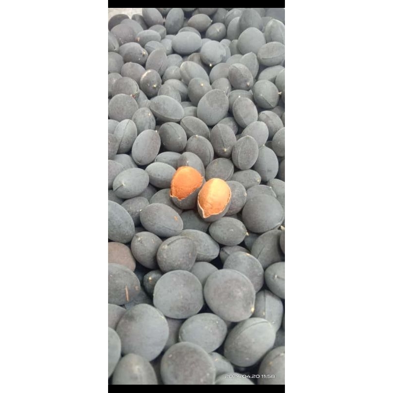 

Buah Ranji / Kranji Fresh 500grm