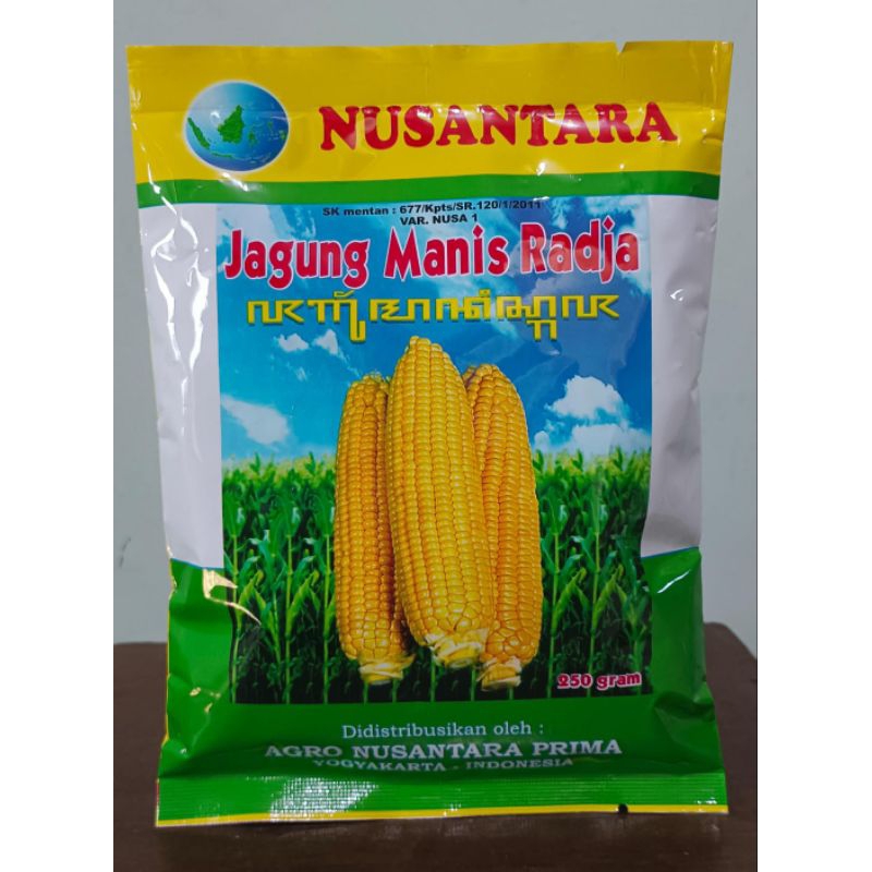 

Jagung manis nusantara 250gram jagung godok