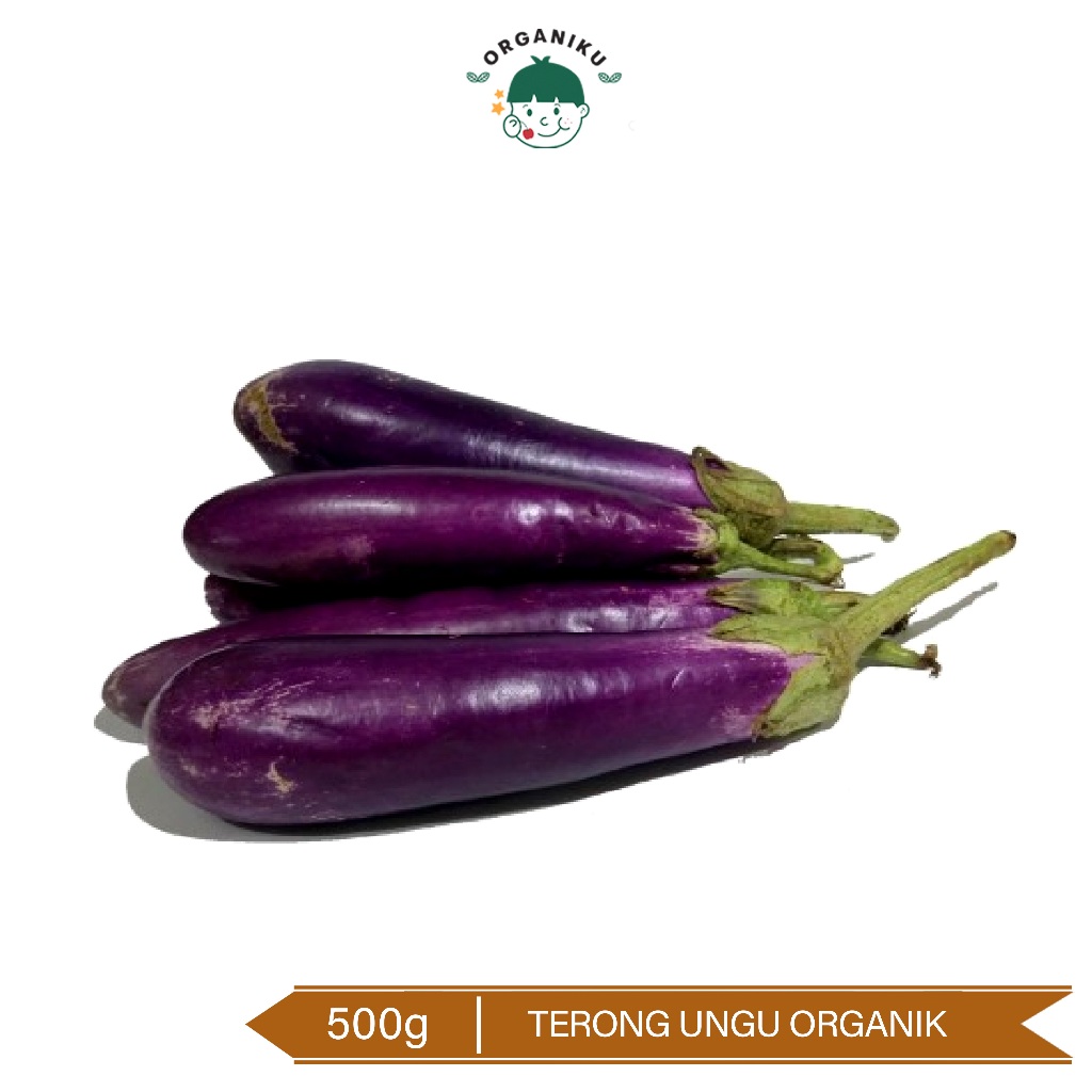 

Terong Ungu Organik / Organic Egg Plant 500g