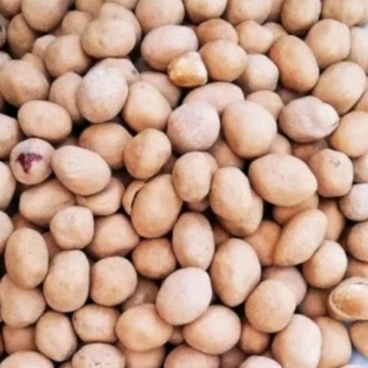 

Kacang Atom Ala Mayasi 250 Gram