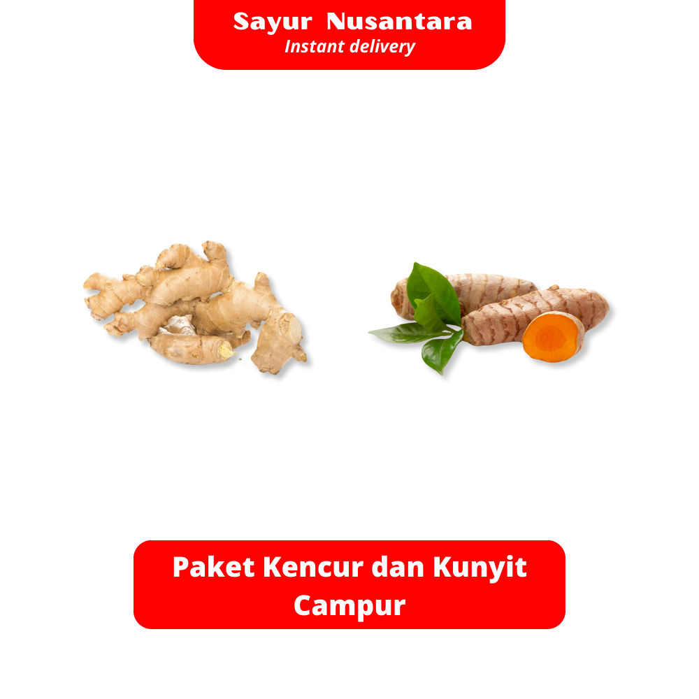 

Paket Kencur dan Kunyit Campur - Sayur Nusantara