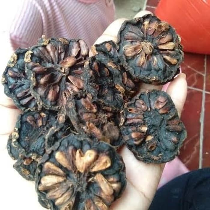 

Buah Mingkudu kering Organik | 200 gram