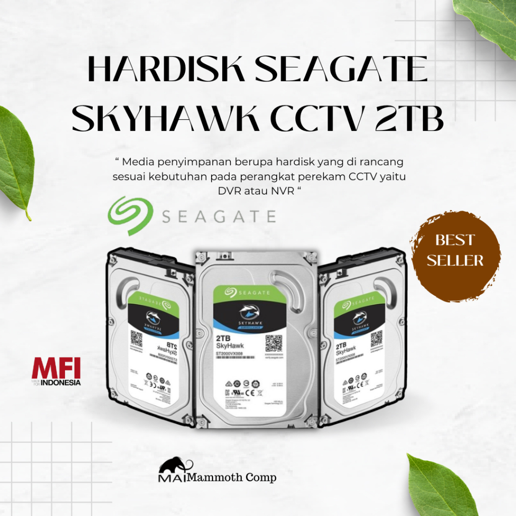 HARDDISK SEAGATE SKYHAWK 2TB - HDD INTERNAL
