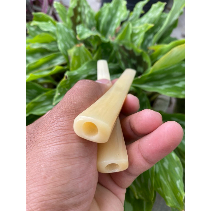 once pipa tulang impor model kotak rasa seperti gading afrika