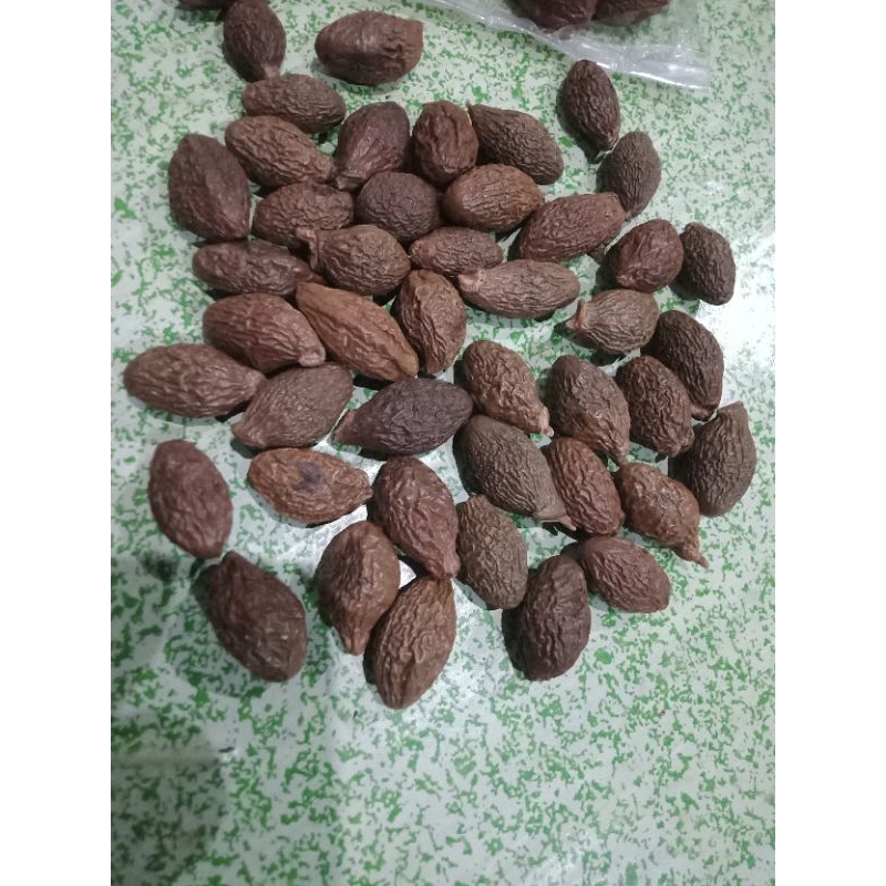 

buah tempayang/kembang semangkuk