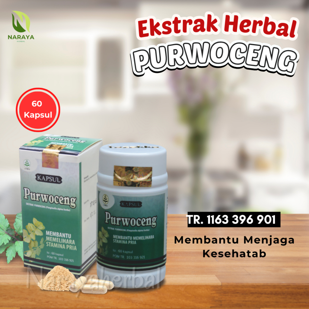 Purwaceng Murni Ekstrak Herbal Purwoceng Asli