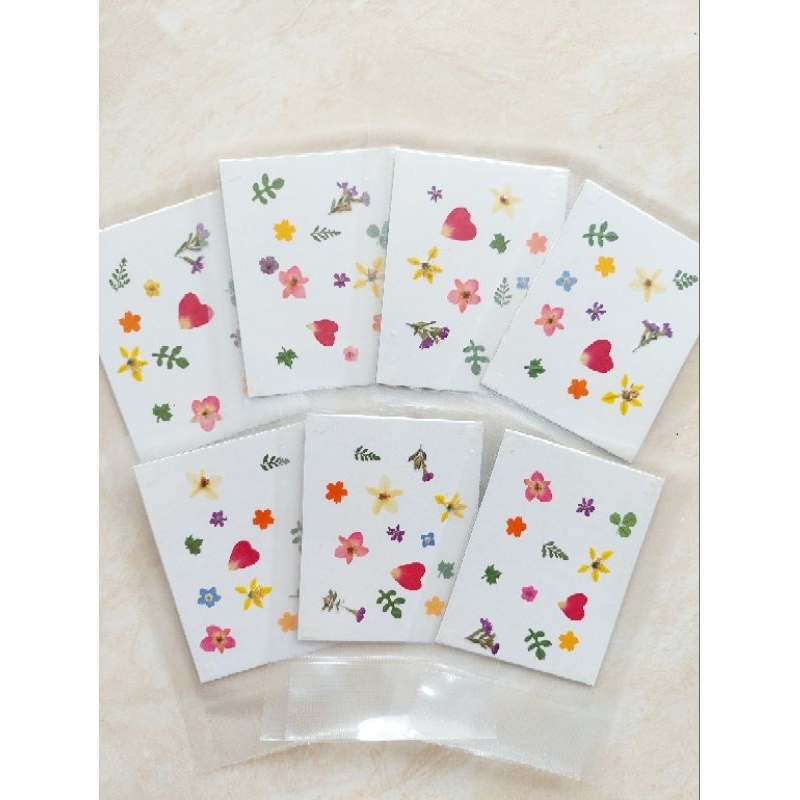 Mini Pressed Flower - Bunga Kering Mini - Pressed flower - Flower for resin - Herbarium - Dried flow