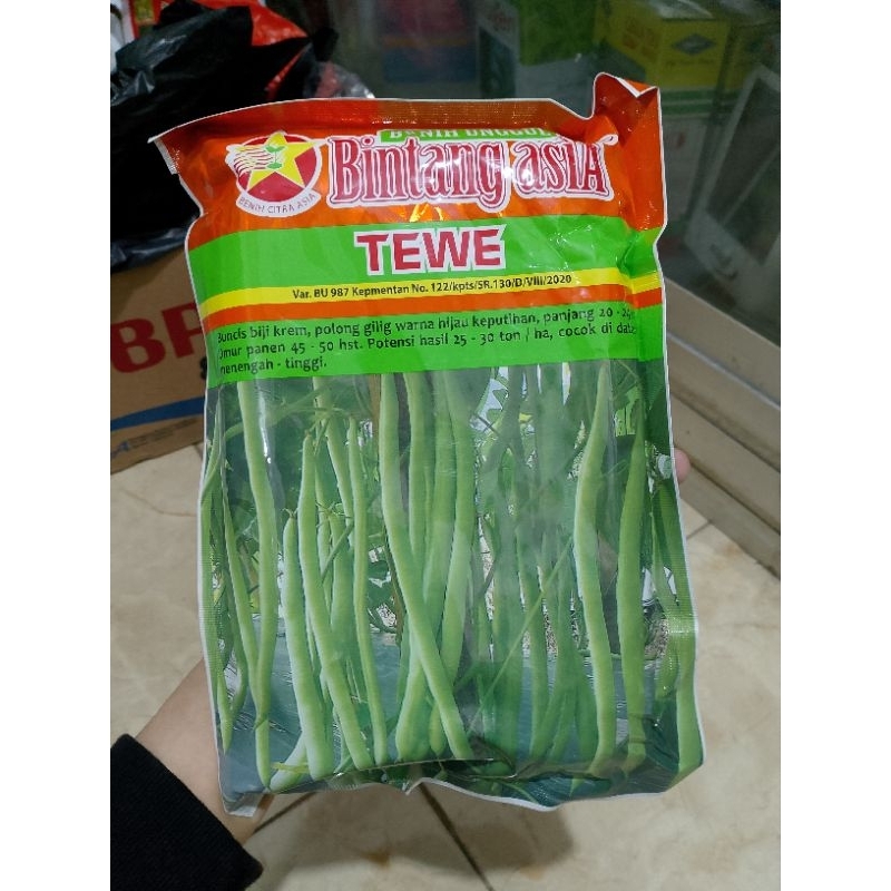 benih buncis tewe bintang asia 500 gram