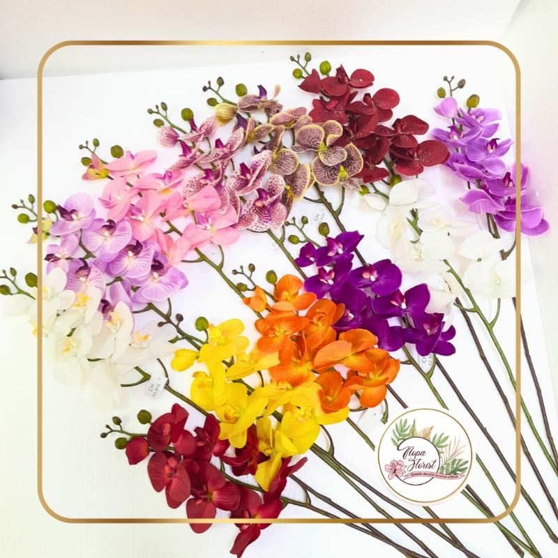 bunga anggrek latex import jumbo / anggrek bulan jumbo latex premium grade A