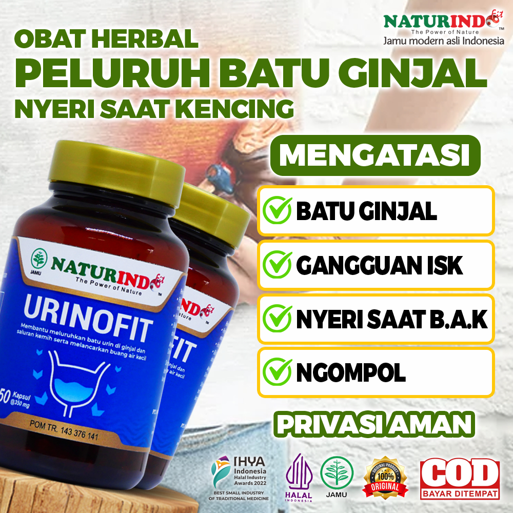 Obat Batu Ginjal Infeksi Kemih Kencing Batu Sulit Kencing