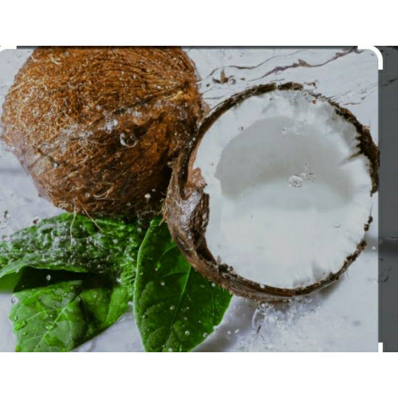 

air kelapa tua alami isi 2 botol