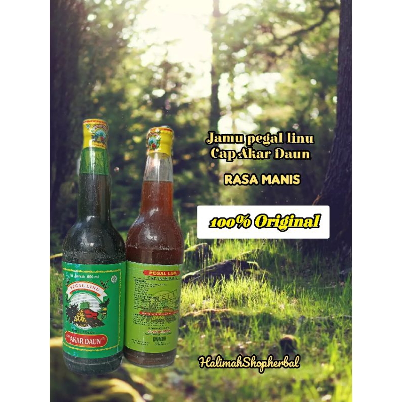 Jamu Pegal Linu Cap Akar Daun 100%Asli