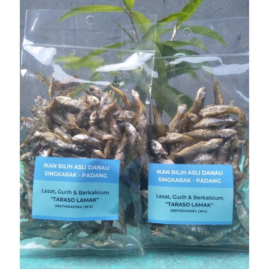 

Jangan Sampai Kehabisan Ikan Bilih ASLI TERLARIS Danau Singkarak Paket Hemat