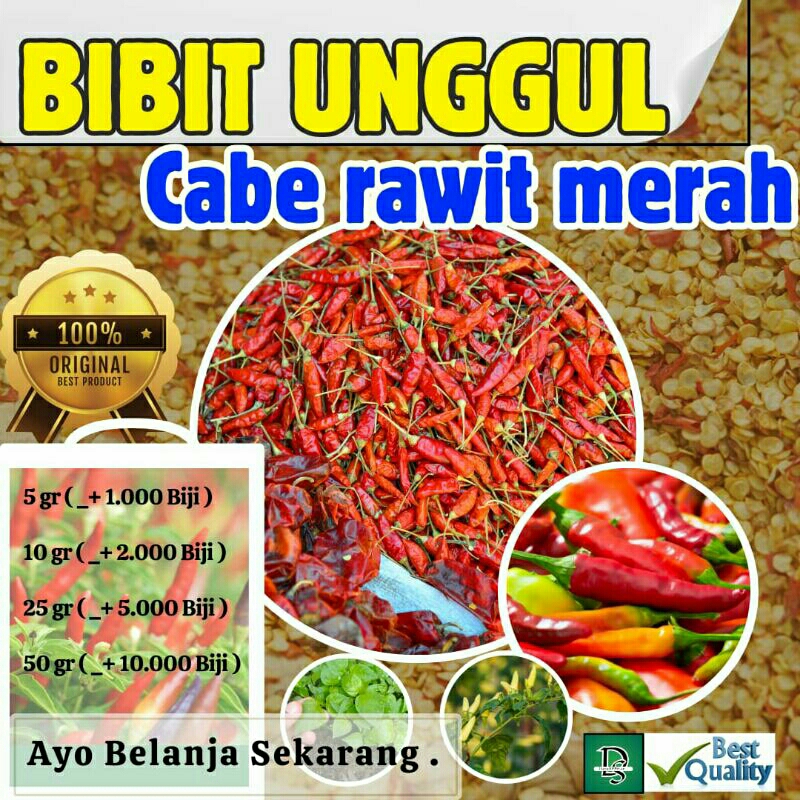 Bibit Cabe gunung Rawit Merah/Bibit Cabe 5 gr,10 gr,25 gr & 50 gr/Cabe Gunung Extra Pedas Bikin Jeng