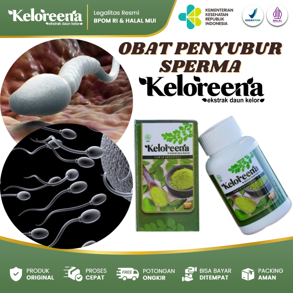 Obat Penyubur Sperma Sperma Subur Mani Encer  Spermatokel  Epididimis Keloreena Kapsul 100% ORI