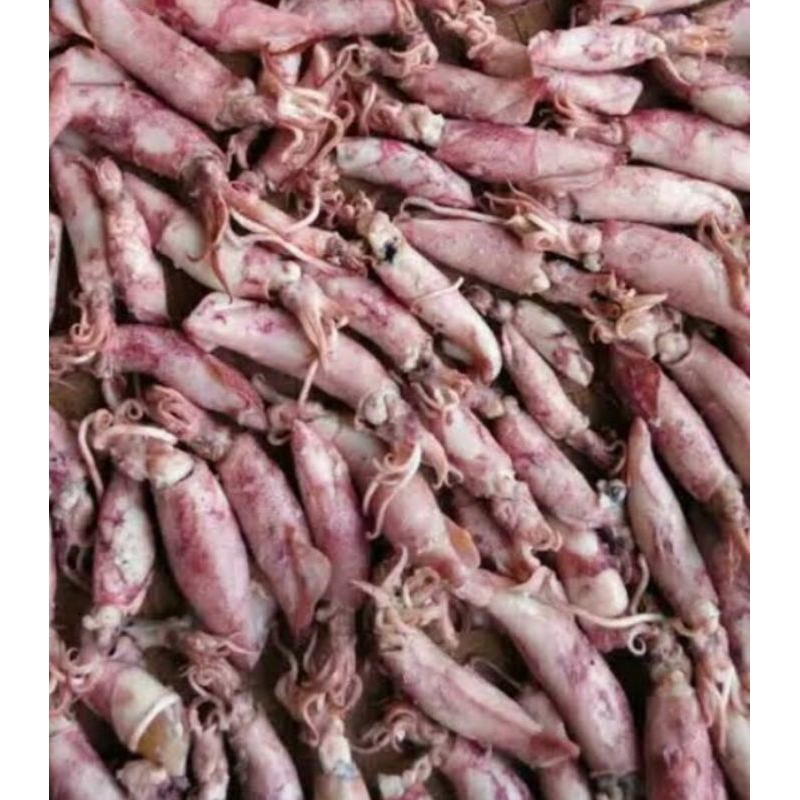 

Ikan Asin Sotong - 100 gr