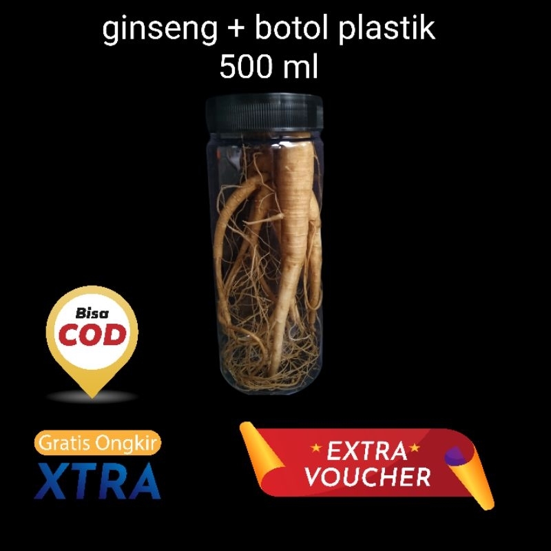 ginseng merah korea asli