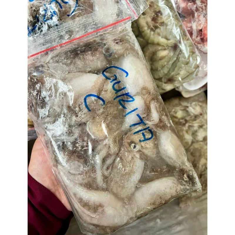 

Baby Gurita Frozen 1 Kg