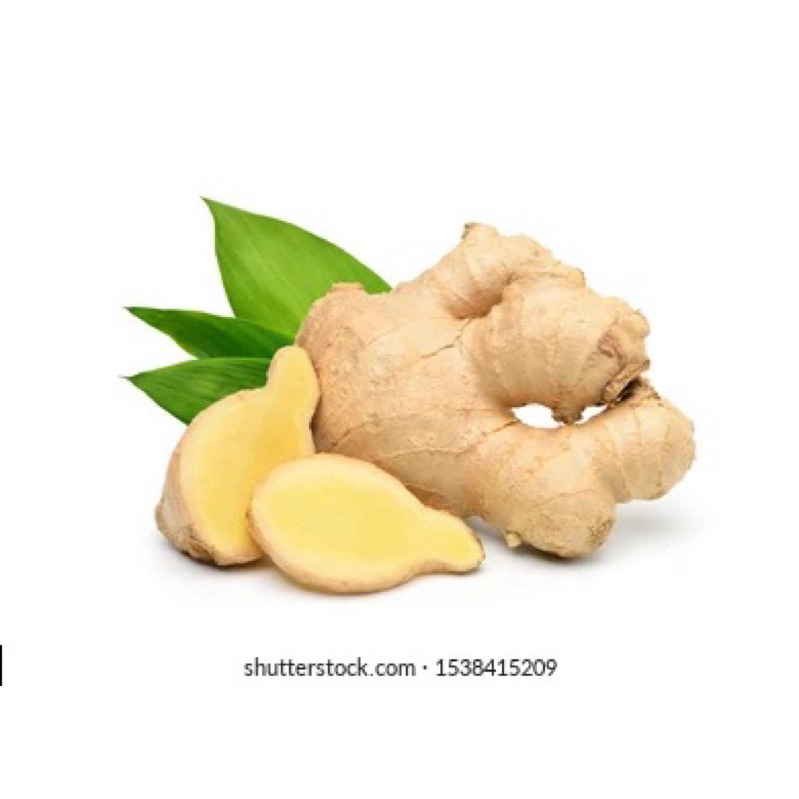 

Jahe Segar per 100 gr