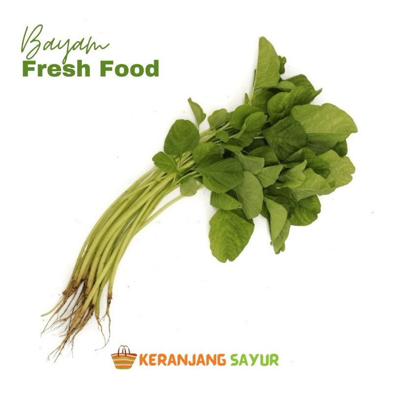 

Sayur bayam 1 Ikat