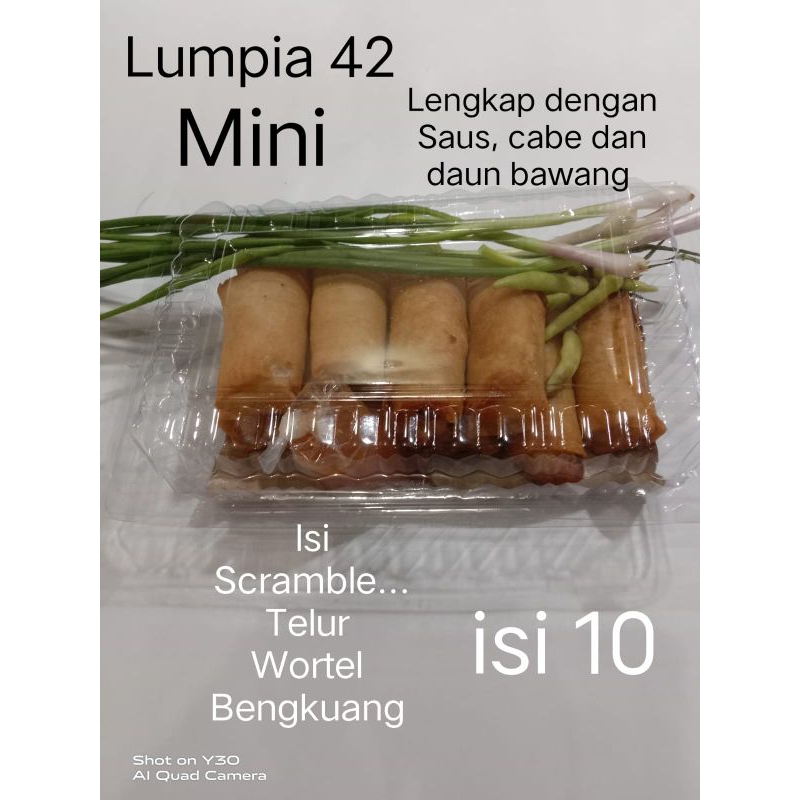 

Lumpia Mini 42 isi 10 Lengkap dengan saus cabe dan daun bawang rasa mantap