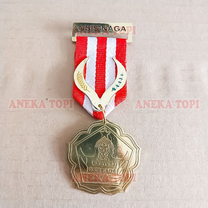 Pin Tanda Jasa Pengurus Osis Tanda Jasa Osis Naga - Aneka Topi