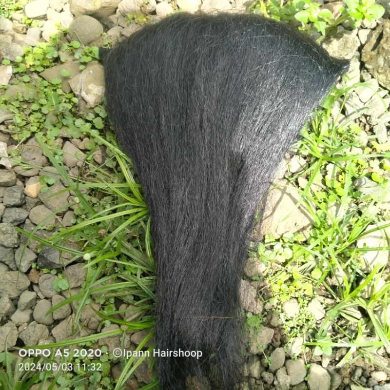 Sasak sauk panjang bali/alat bantu sasak rambut (BLIDS)